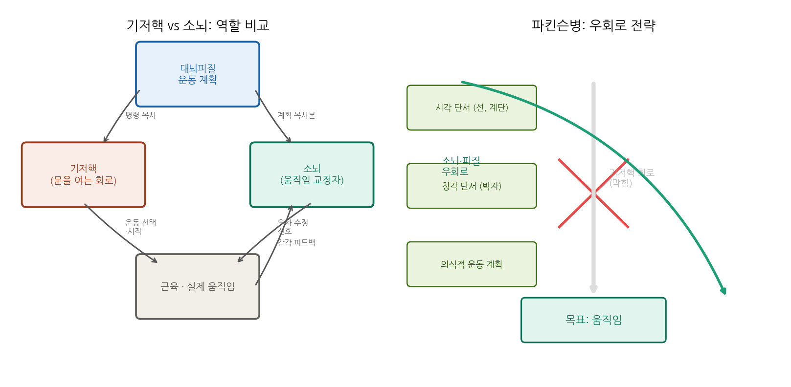 기저핵 vs 소뇌 역할 비교, 그리고 파킨슨병에서의 우회로 전략
