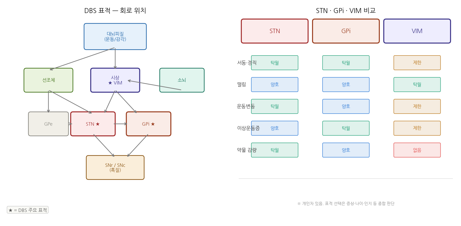 DBS 표적 STN·GPi·VIM의 회로 위치와 효과 비교