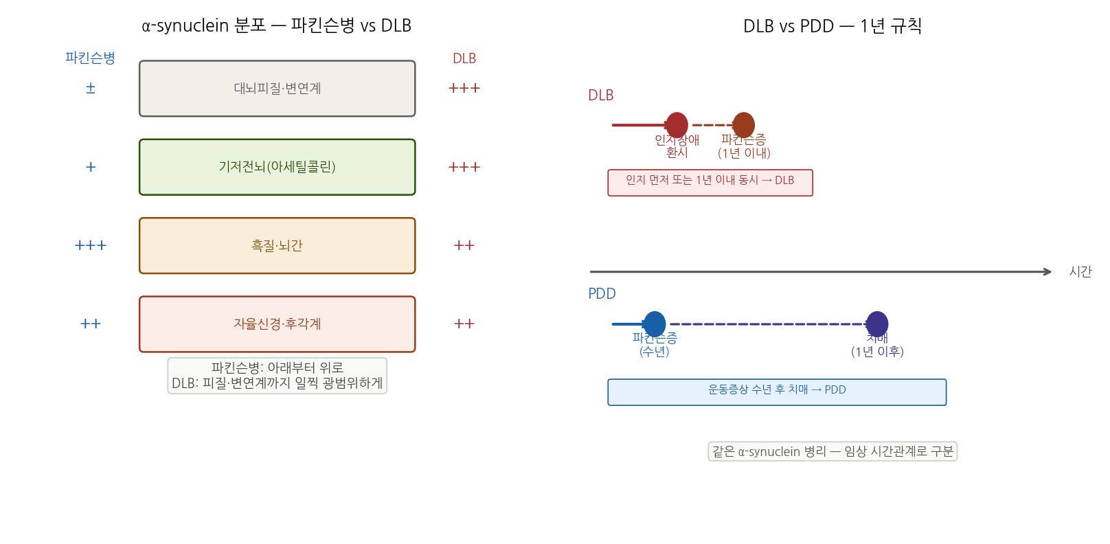 파킨슨병 vs DLB α-synuclein 분포 비교, 그리고 DLB vs PDD 1년 규칙