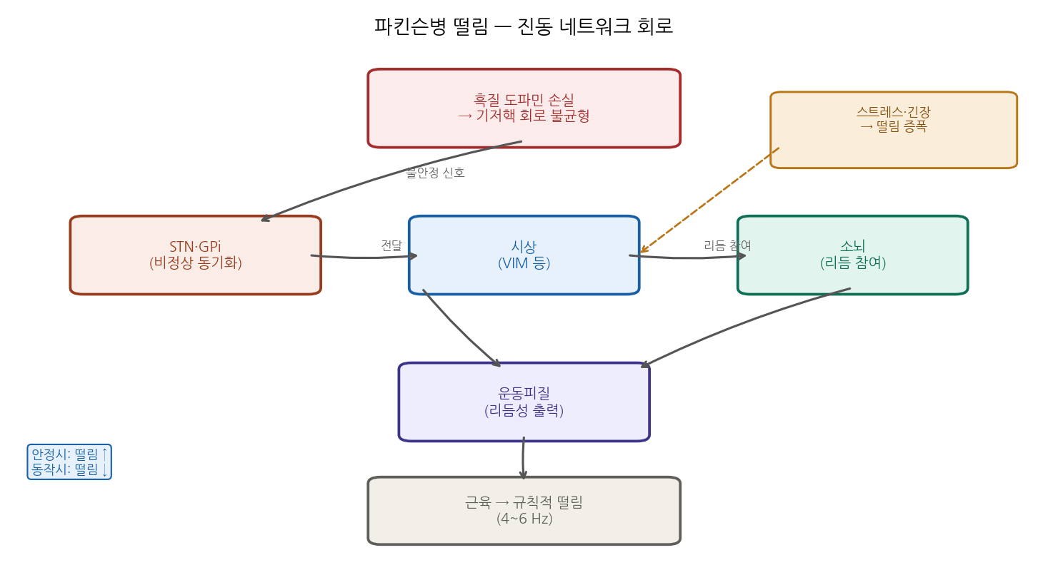 파킨슨병 떨림 진동 네트워크 — 기저핵에서 시상, 소뇌, 운동피질로 이어지는 비정상 동기화 회로